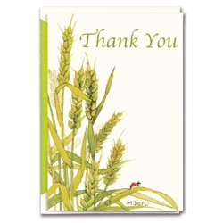 Greeting Cards - Thank You Climbing Ladybug 